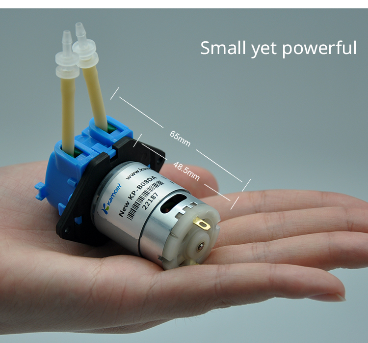 Nutrition & Fitness Hub - 2026年新型NKP 6V 12V 24V DCモーター カラーミニペリスタルティック定量ポンプ