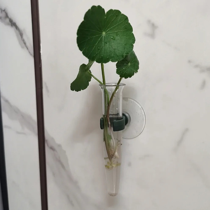 11cmの花用ウォーターチューブ、プラスチック製栄養容器、吸 - Nutrition & Fitness Hub のレビューと価格