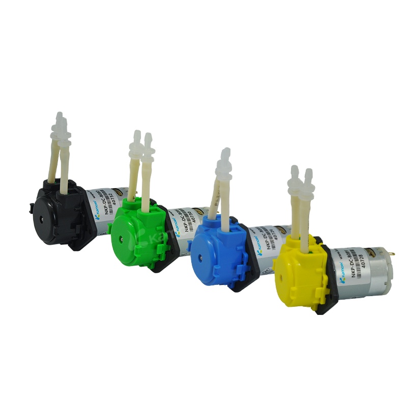 2026年新型NKP 6V 12V 24V DCモーター カ - Nutrition & Fitness Hub のレビューと価格