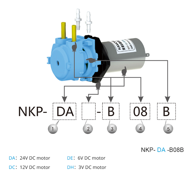 2026年新型NKP 6V 12V 24V DCモーター カ - Nutrition & Fitness Hub のレビューと価格