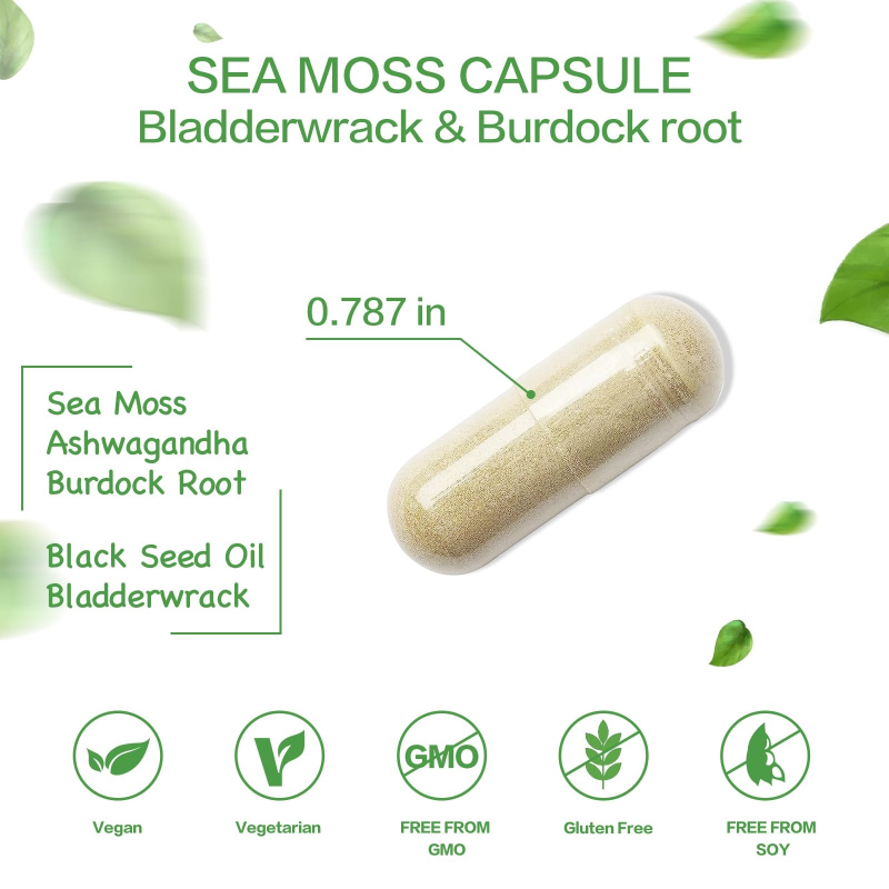 9-in-1 海藻ブラックシードオイル、ジンジャー、ゴボウ根 - Black Seed Oil Capsule のレビューと価格