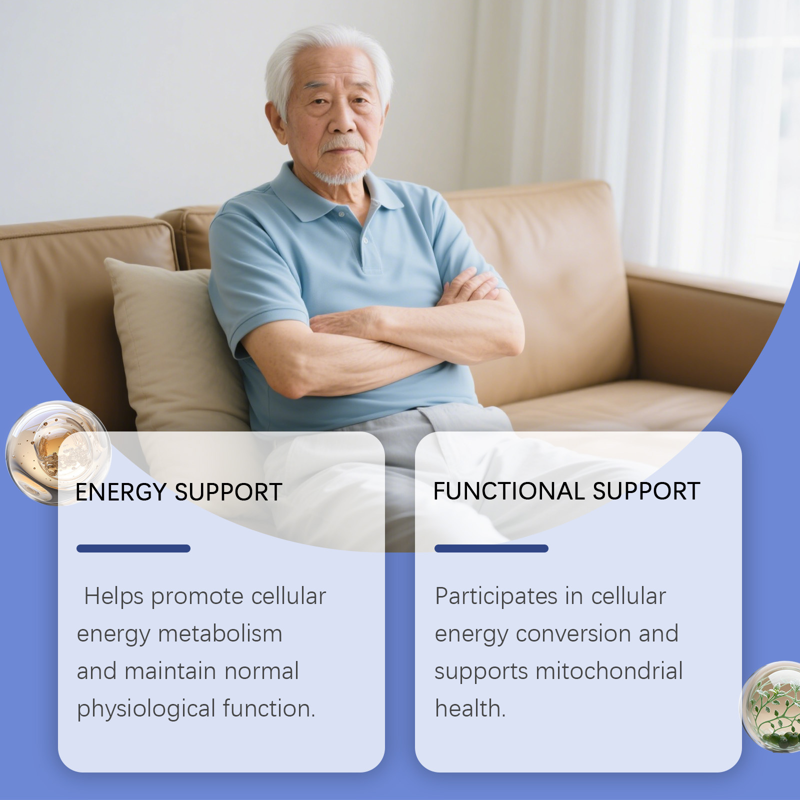活力増強ドロップスは、代謝を促進し、注意力を高め、体力を強化 - Nutrition Physical Fitness のレビューと価格