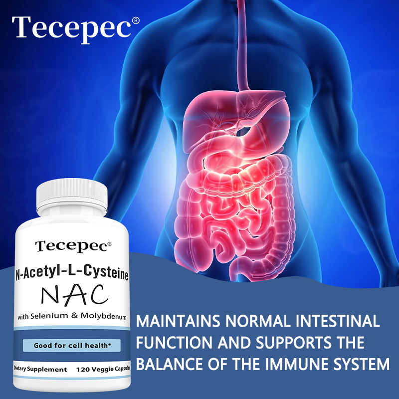 NAC カプセル – 抗酸化作用、肌の健康をサポート、肝臓と - Nac N Acetyl Cysteine のレビューと価格